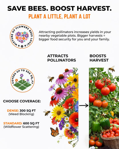 Pollinator seed mix attracting bees to boost garden harvest