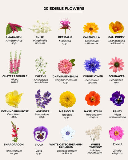 edible flower varieties chart
