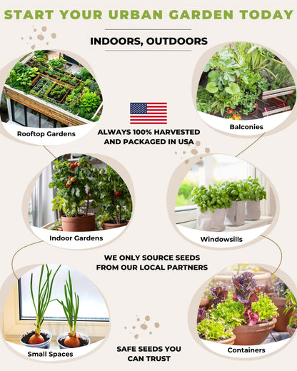 urban garden indoor outdoor planting