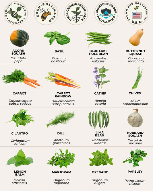 vegetable and herb seed chart